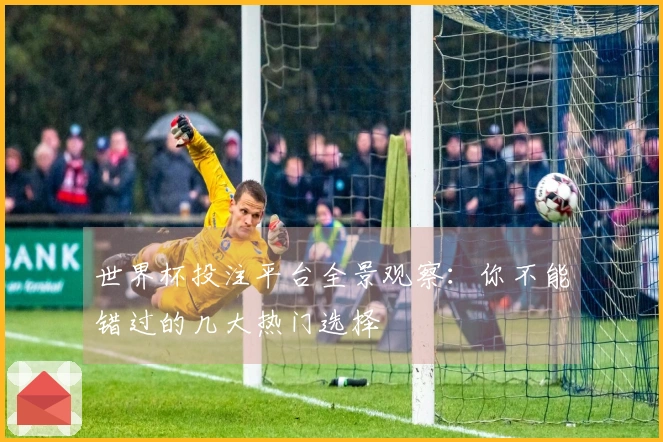 世界杯投注平台全景观察：你不能错过的几大热门选择