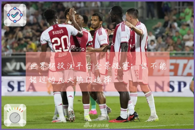 世界杯投注平台全景观察：你不能错过的几大热门选择