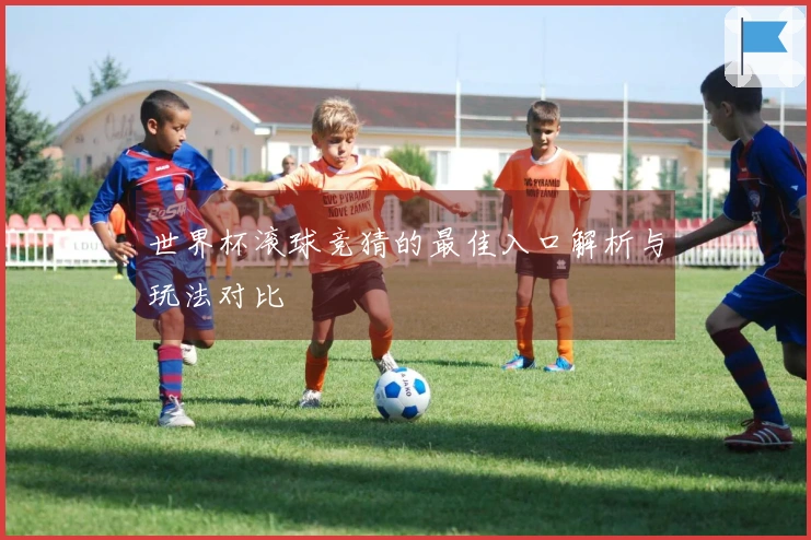 世界杯滚球竞猜的最佳入口解析与玩法对比