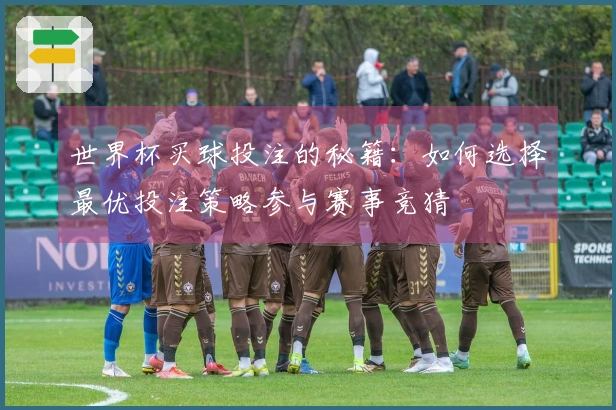世界杯买球投注的秘籍：如何选择最优投注策略参与赛事竞猜