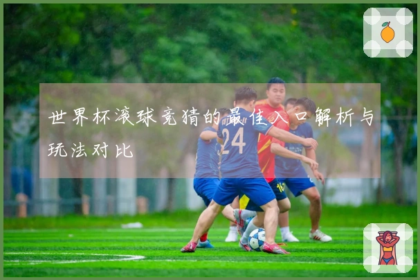 世界杯滚球竞猜的最佳入口解析与玩法对比
