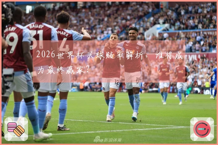 2026世界杯买球赔率解析，谁将成为最终赢家？