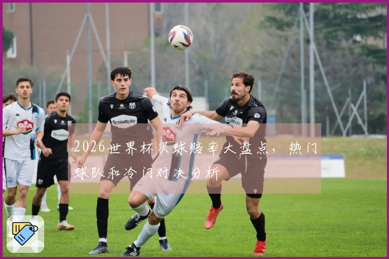 2026世界杯买球赔率大盘点，热门球队和冷门对决分析