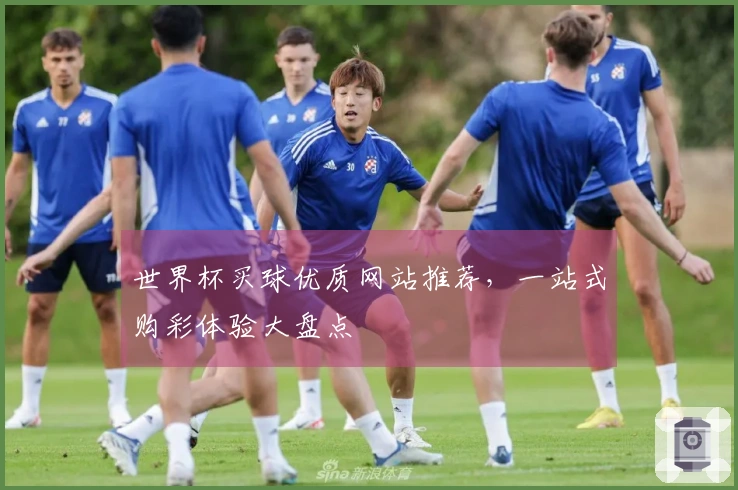 世界杯买球优质网站推荐，一站式购彩体验大盘点