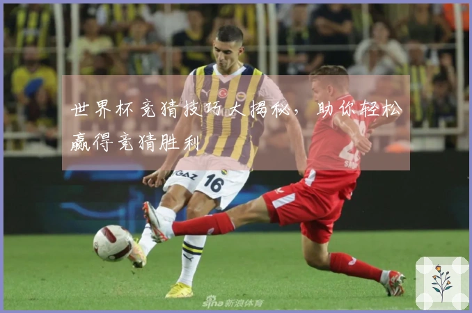 世界杯竞猜技巧大揭秘，助你轻松赢得竞猜胜利