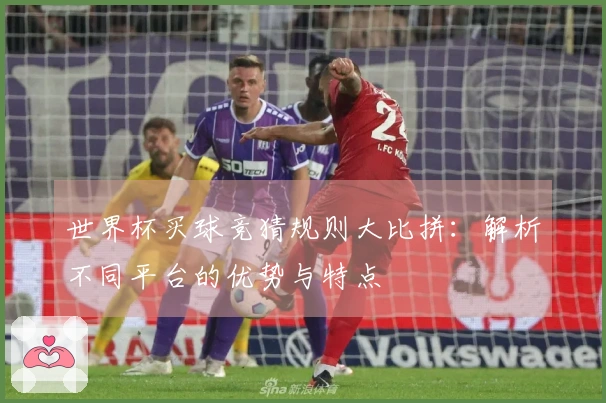 世界杯买球竞猜规则大比拼：解析不同平台的优势与特点