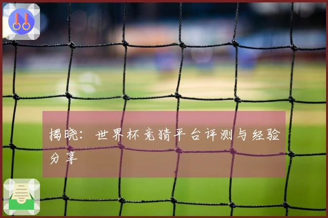 揭晓：世界杯竞猜平台评测与经验分享
