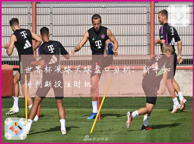 世界杯滚球买球盘口分析：新手如何判断投注时机